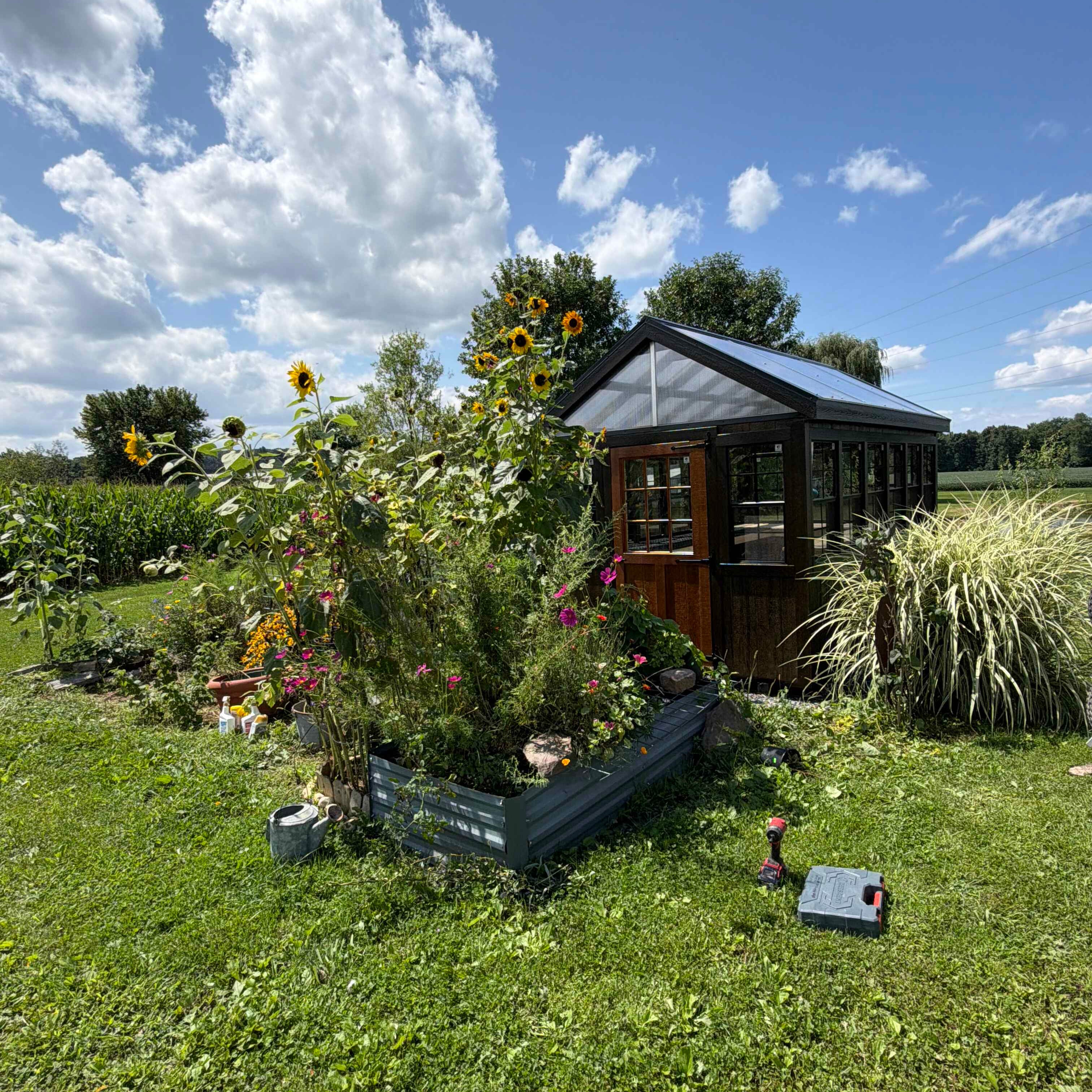 8×14 Greenhouse
